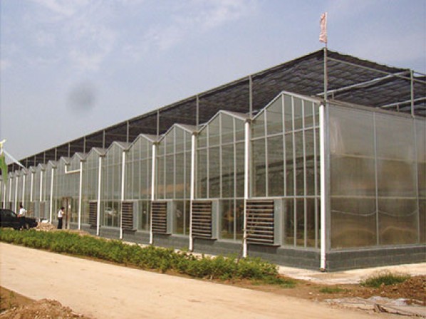 External sunshade system