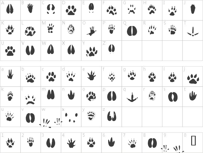 AnimalTracks