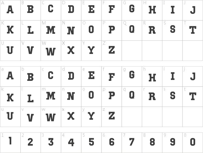 IBM Block Serif