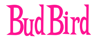 BudBird預覽圖片