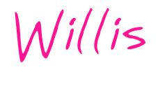 Willis預覽圖片