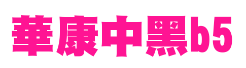 華康中黑b5