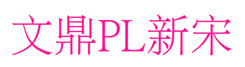 文鼎PL新宋預覽圖片