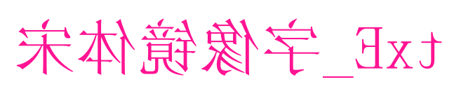 宋體鏡像字_Ext